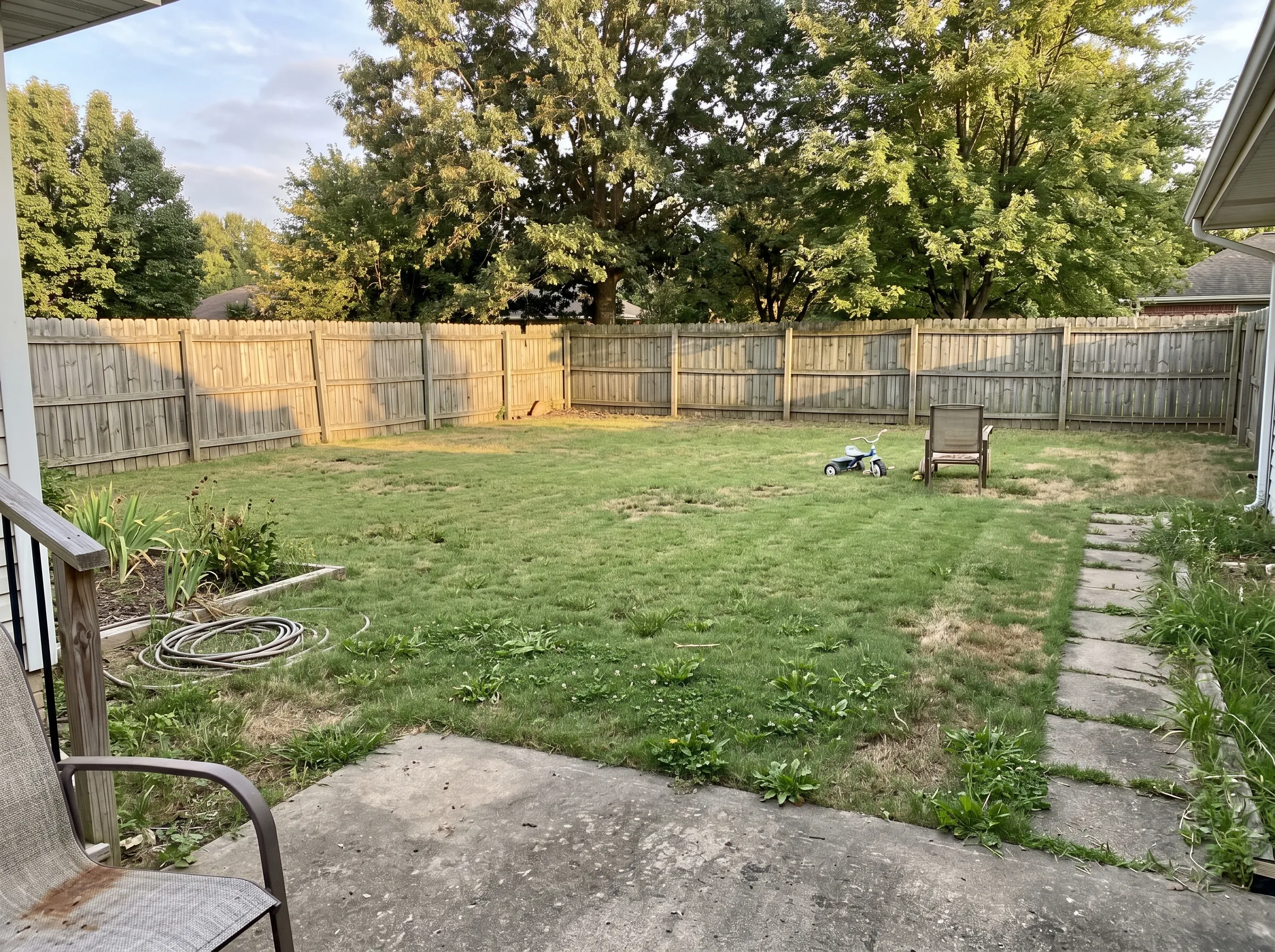 Backyard overview